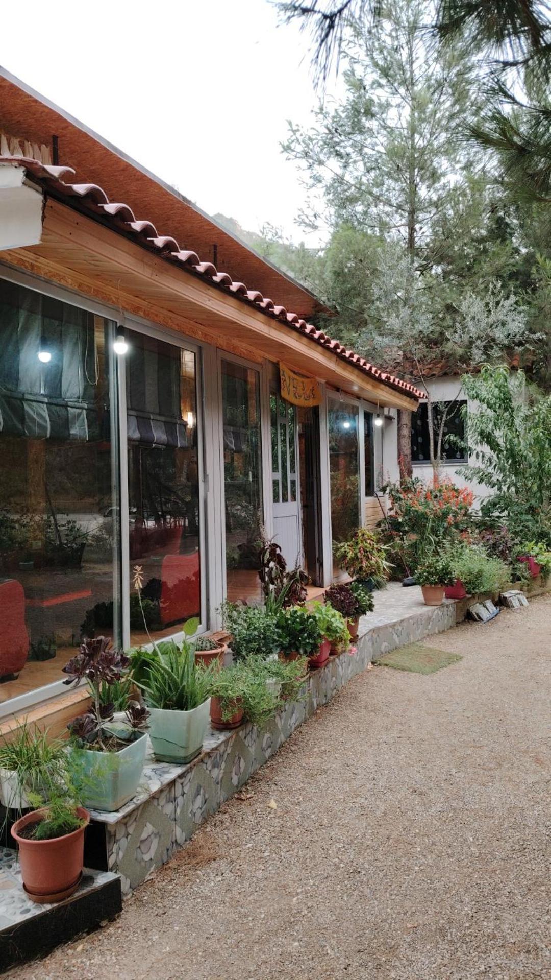 Bovilla Canyon Dajt